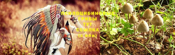амф Бугульма