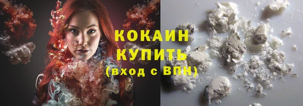 мдпв Протвино